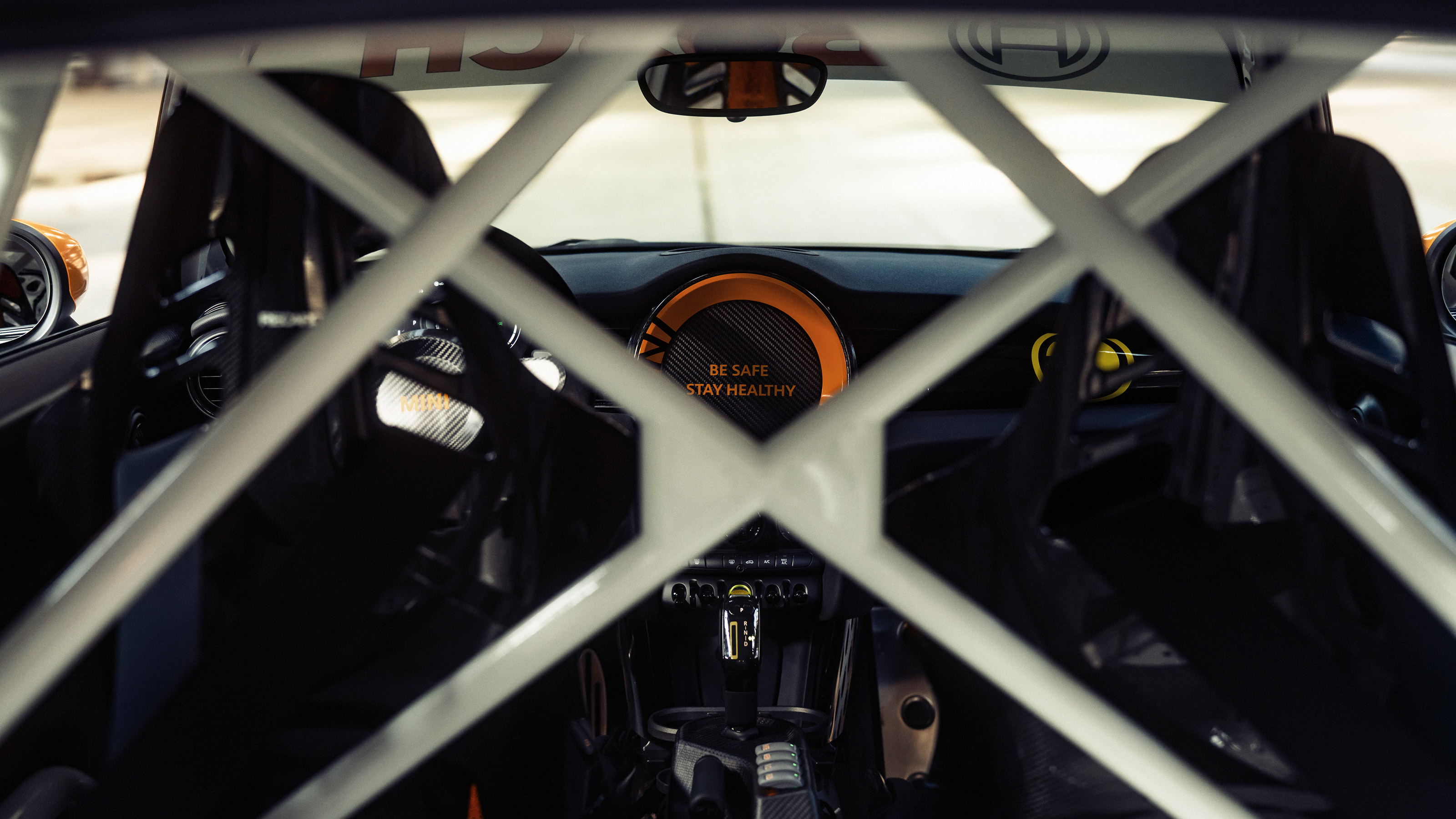 Mini Electric Pacesetter - cage