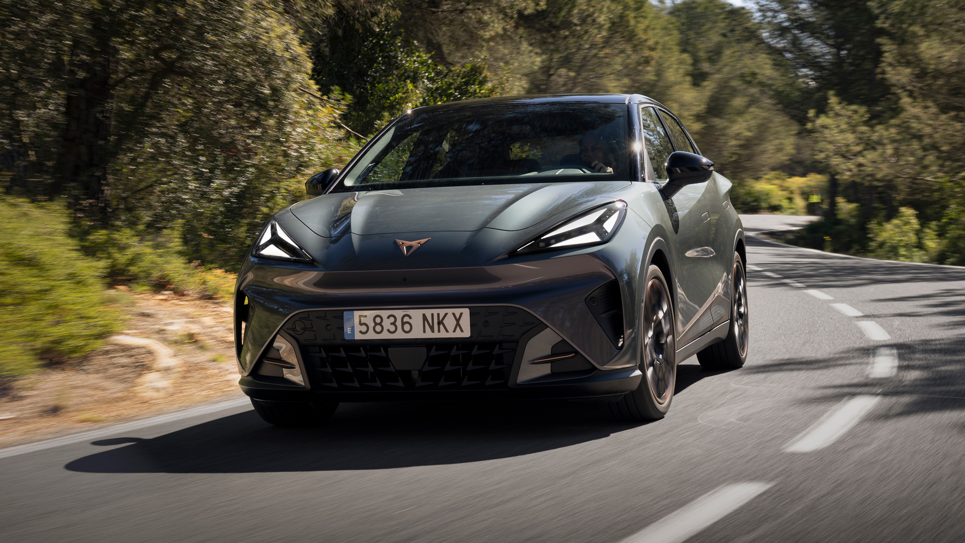 Cupra Raval