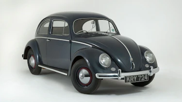Beetle