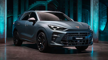 Cupra Terramar – front