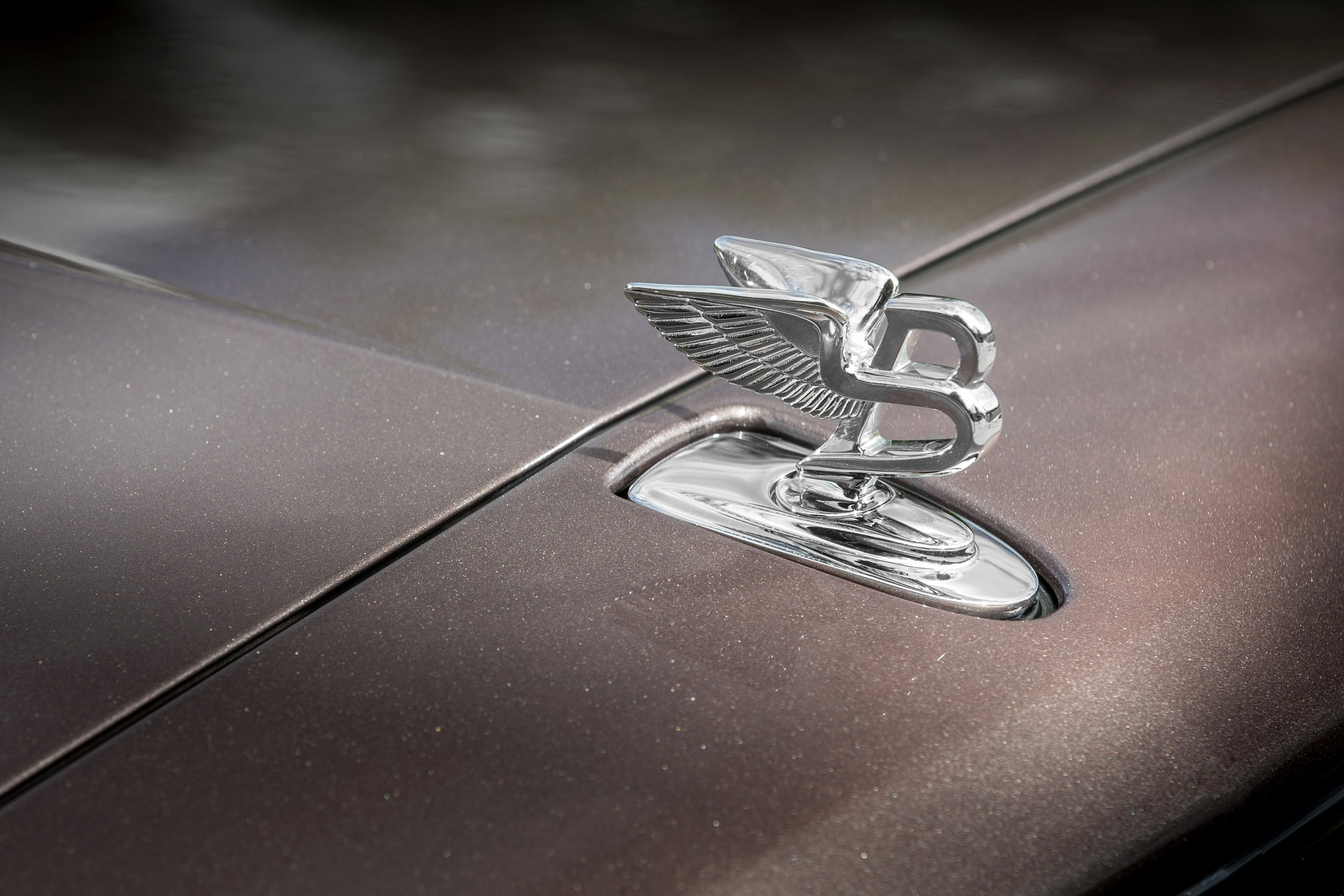 Bentley Mulsanne - badge