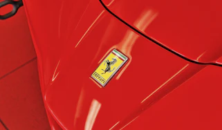 Ferrari badge