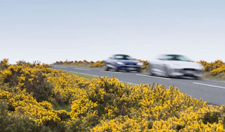 Speeding fines header