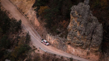 Rally Mexico yaris2