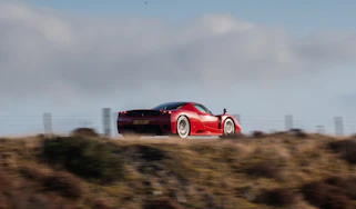 Ferrari Enzo evo rear