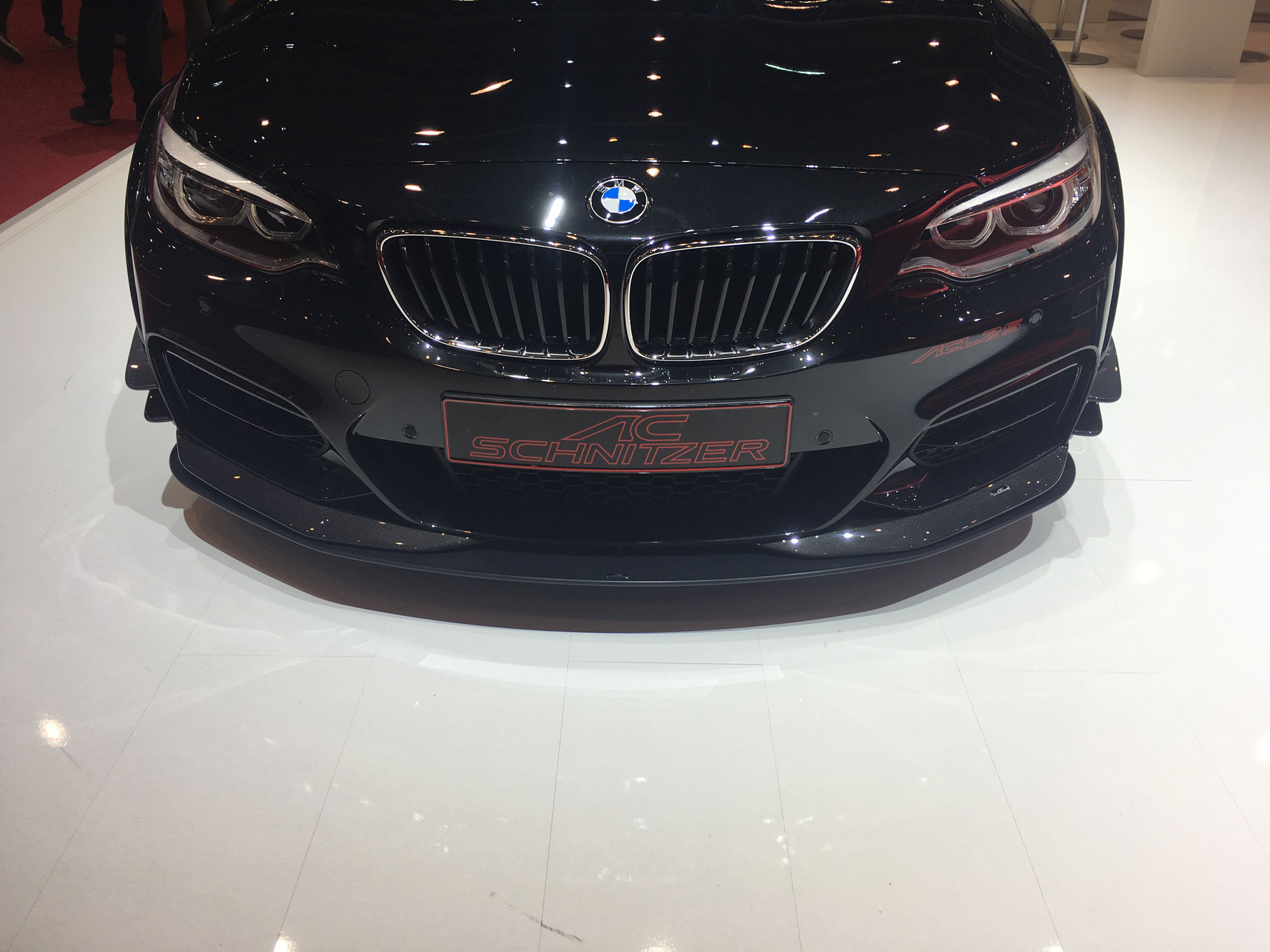 AC Schnitzer ACL2S - Dive planes