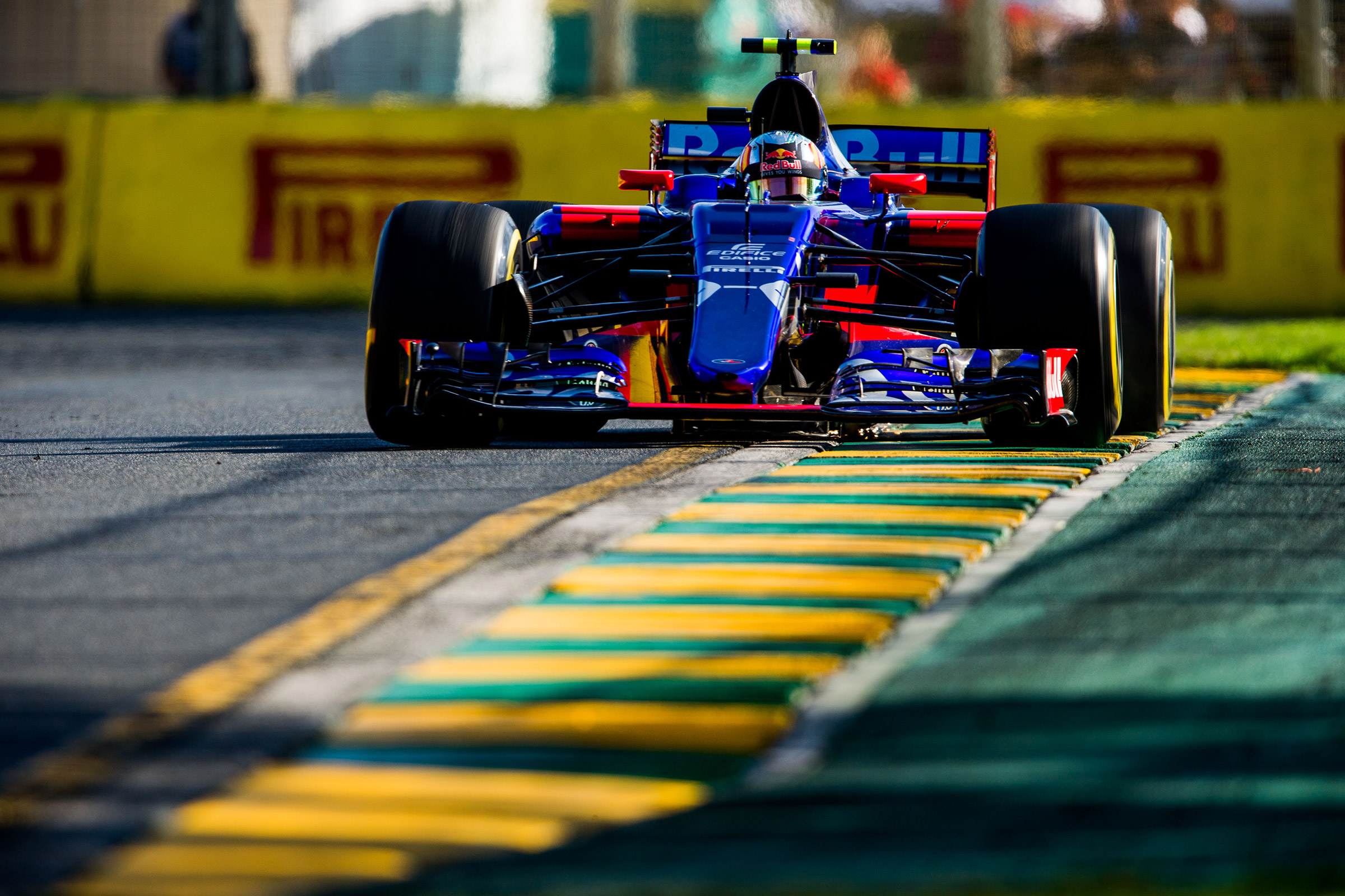 Toro Rosso Front