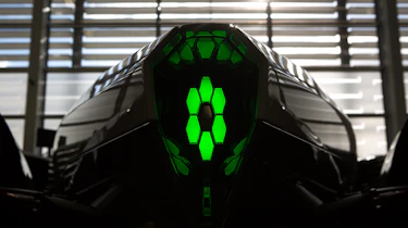 Dendrobium teaser