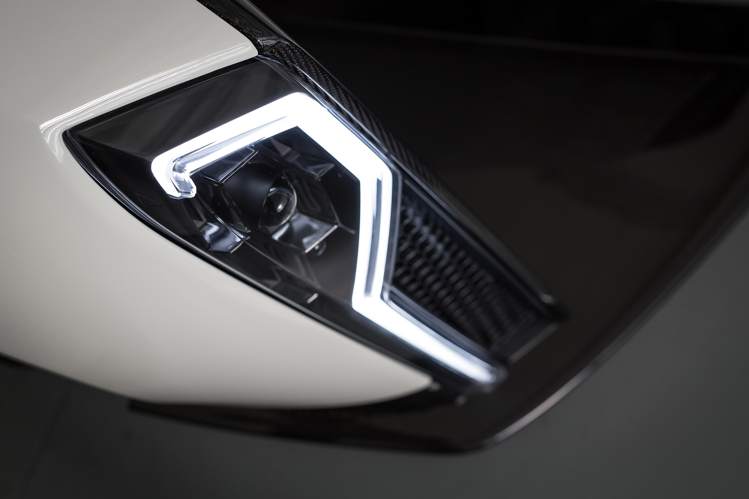 Dendrobium teaser
