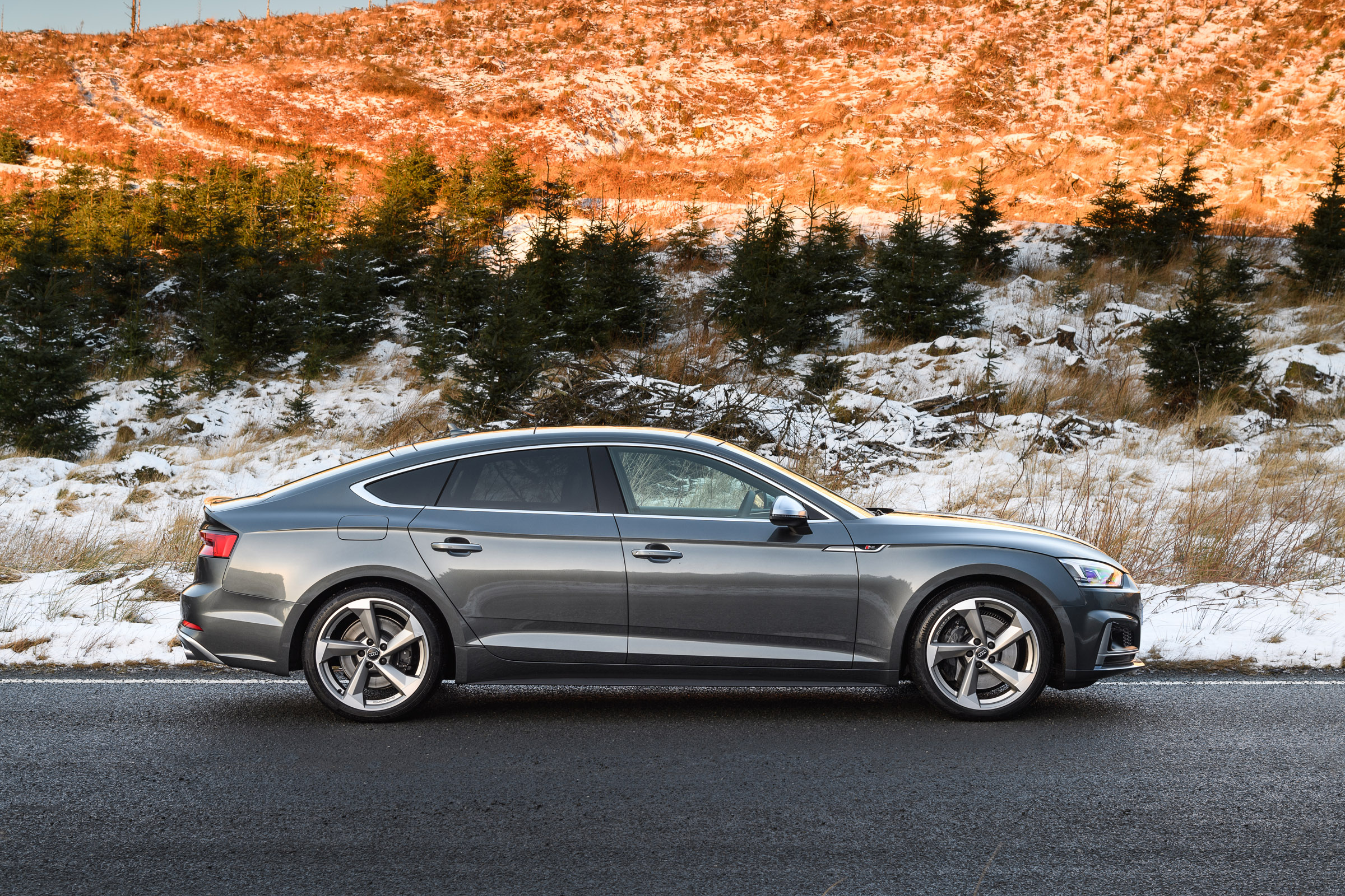 Audi S5 Sportback side
