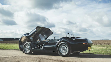 Lister Knobbly - recreation rear