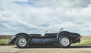 Lister Knobbly - recreation profile