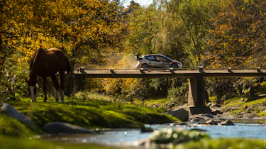 WRC R5 Argentina - Toyota