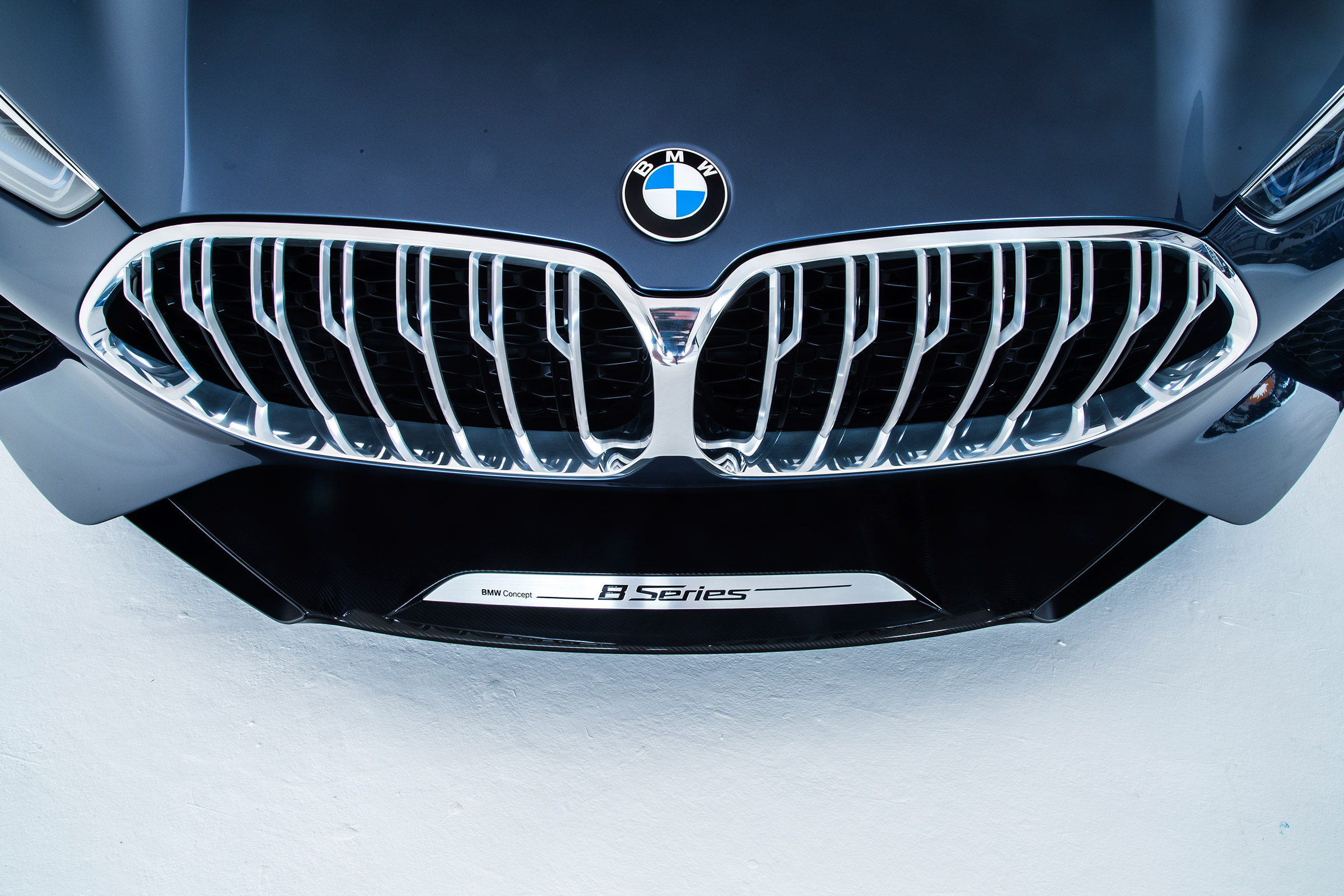 BMW 8-series concept - grille