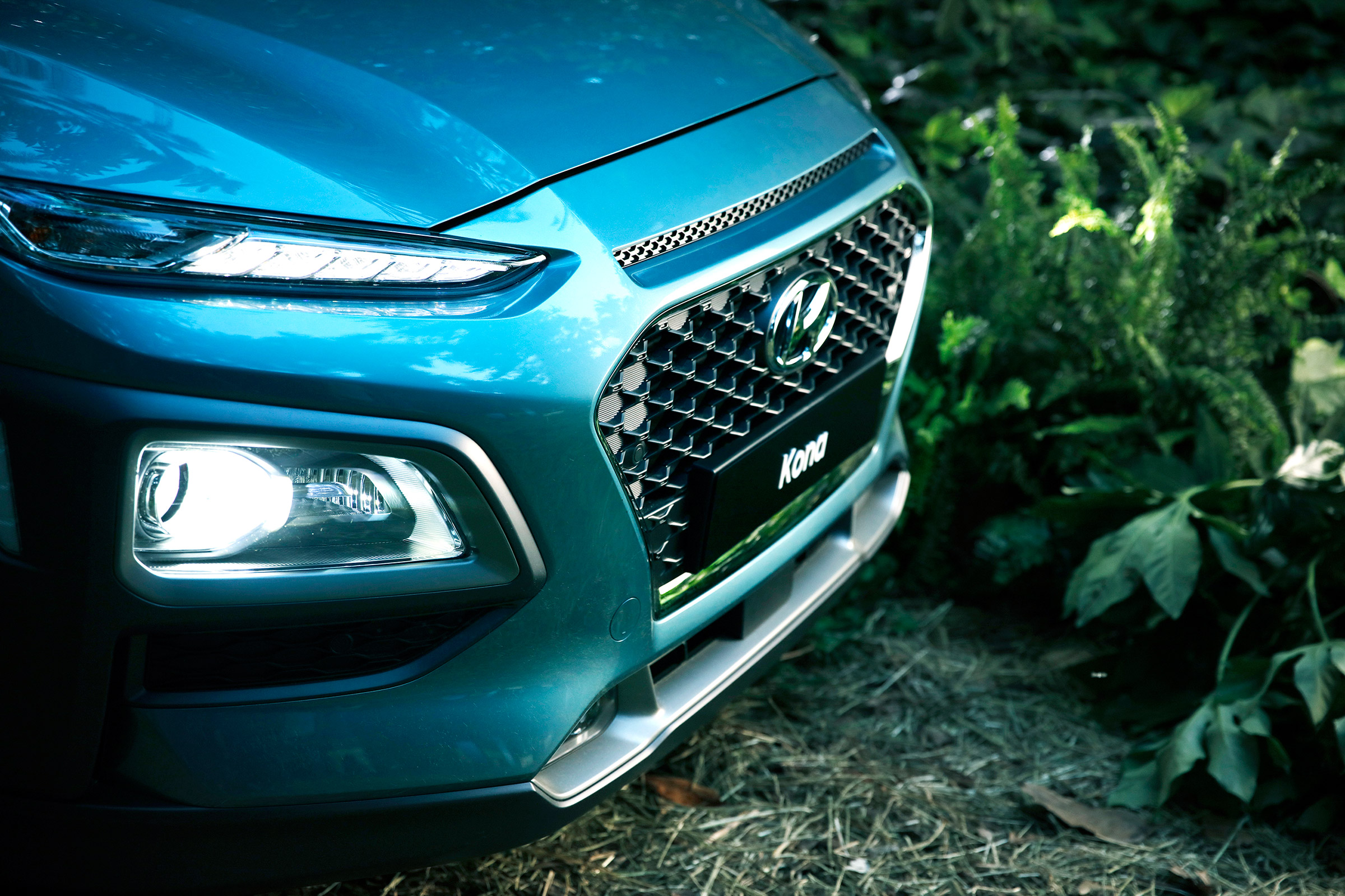 Hyundai Kona - grill