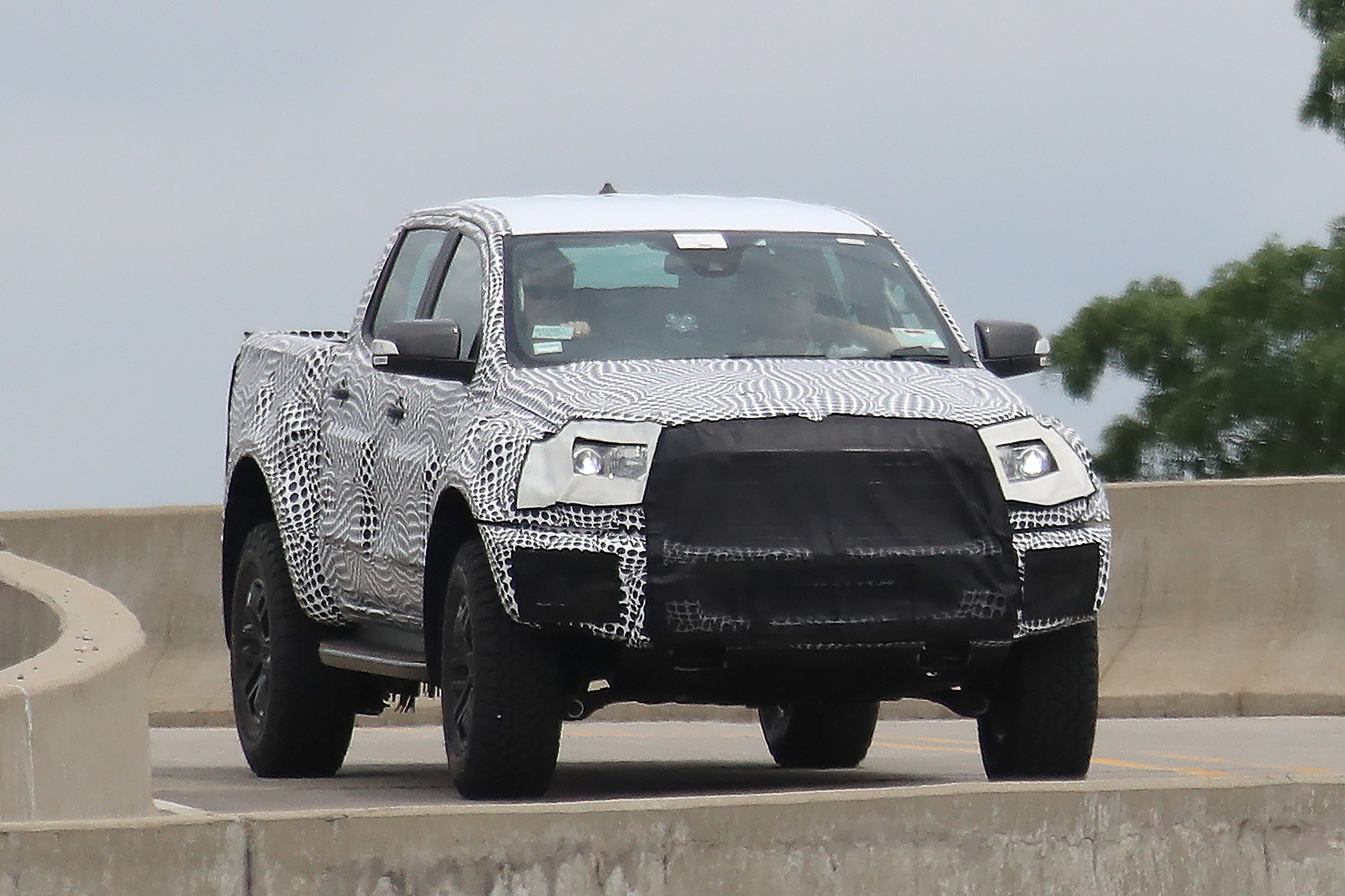 Raptor Spy - front 3