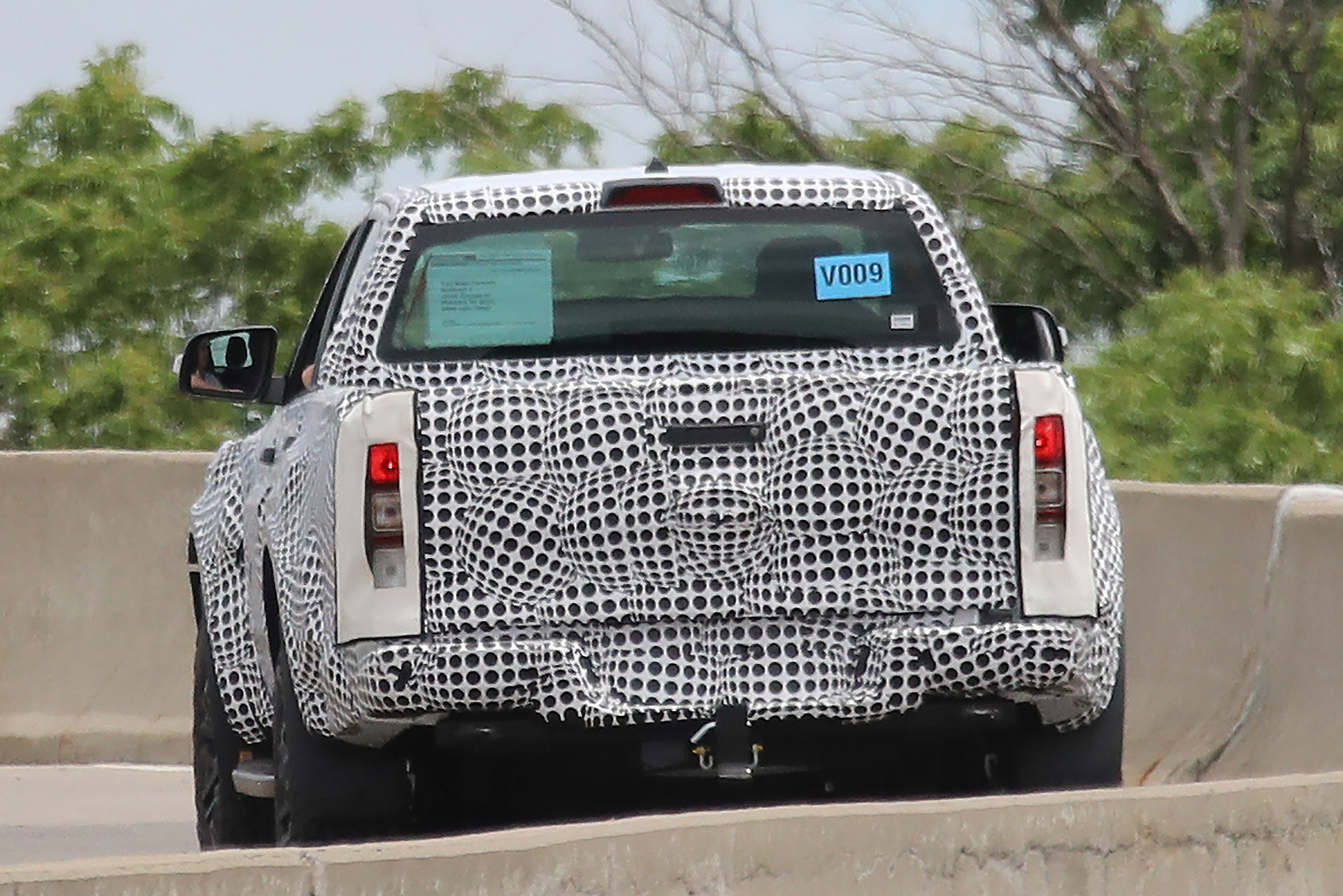 Raptor Spy - rear 2