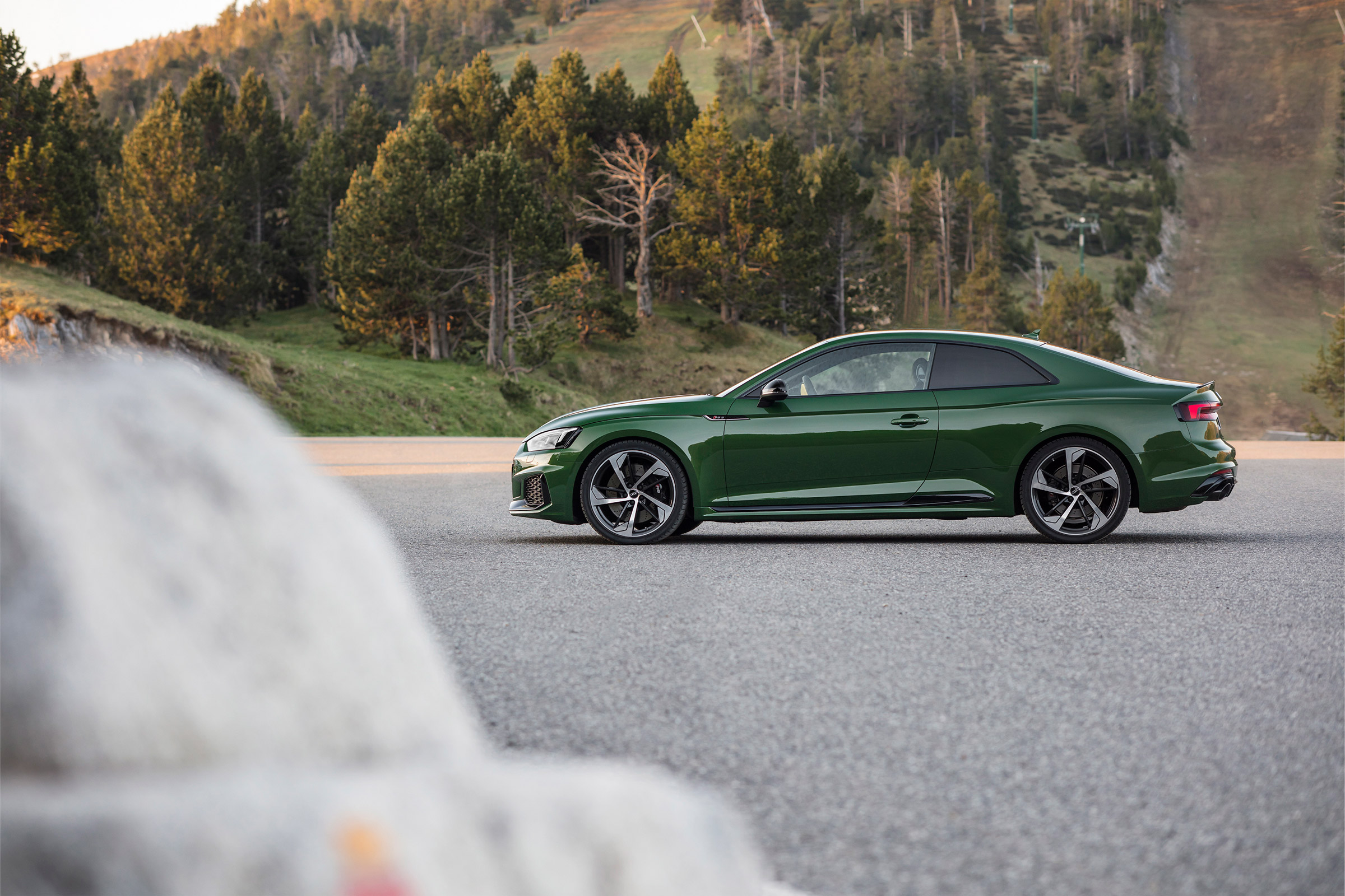 Audi RS5 - side profile