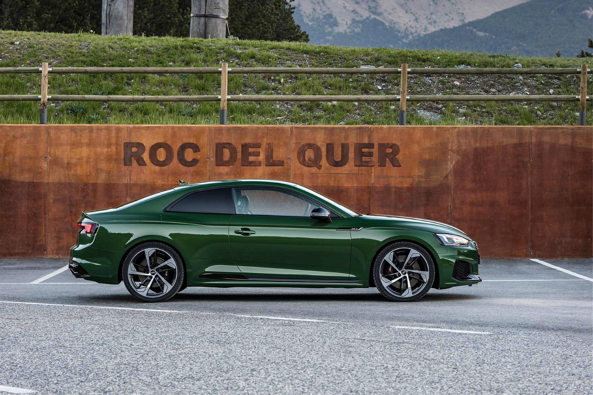 Audi RS5 - side profile
