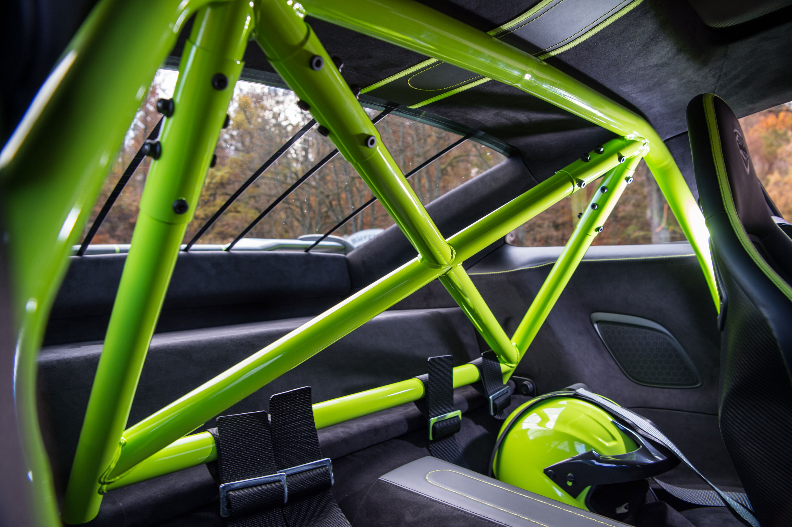 TechArt GTStreet R - Roll cage