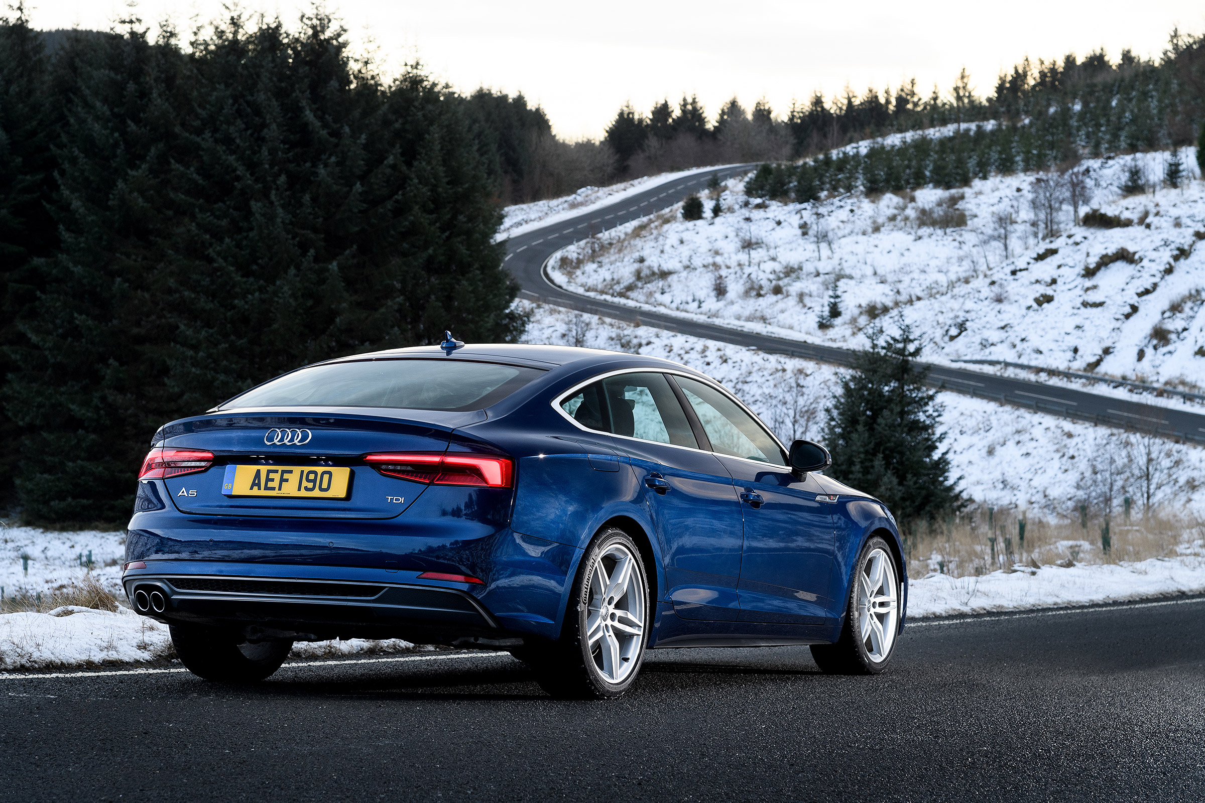 Audi A5 Sportback S-Line - rear static