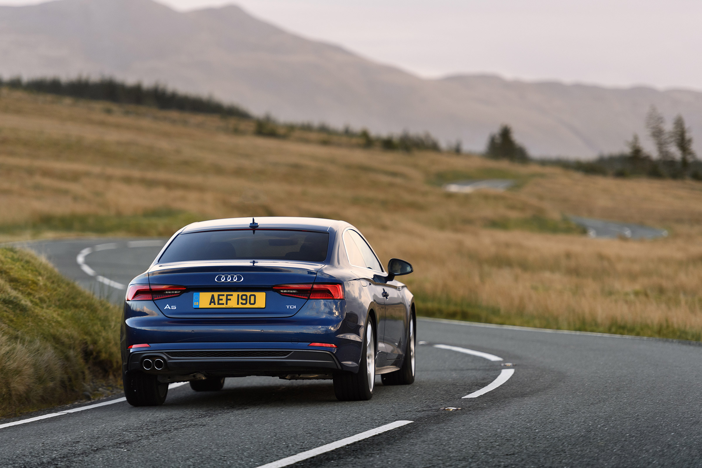 Audi A5 coupe blue - rear 2