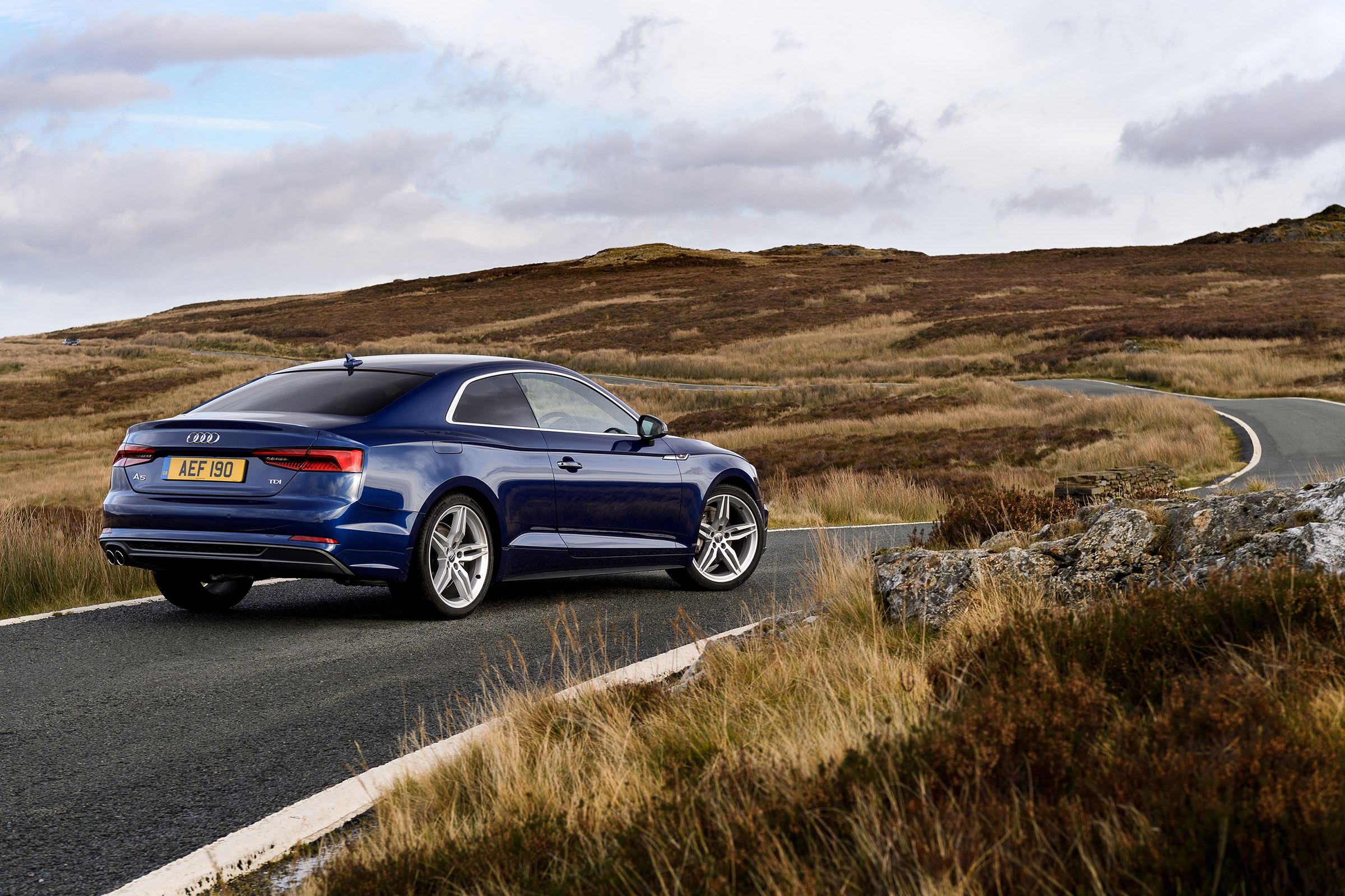 Audi A5 coupe blue - rear static