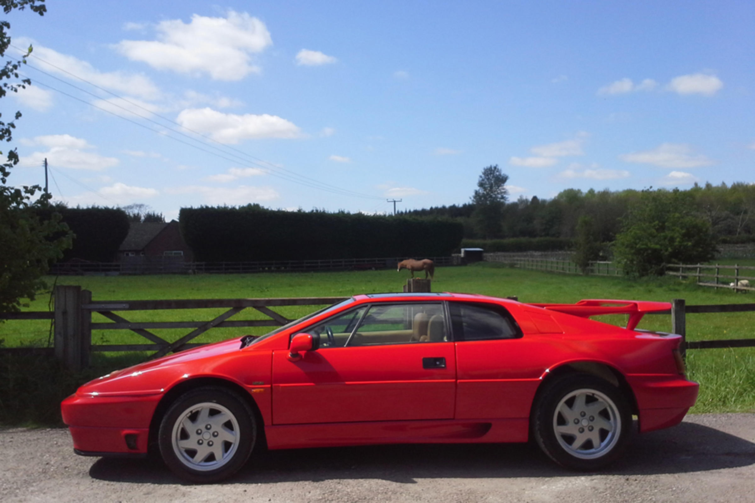 Lotus Esprit Turbo - side