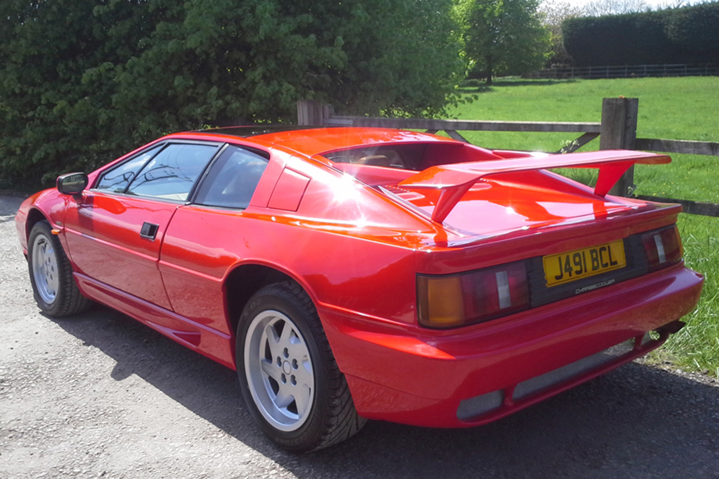 Lotus Esprit Turbo - rear quarter