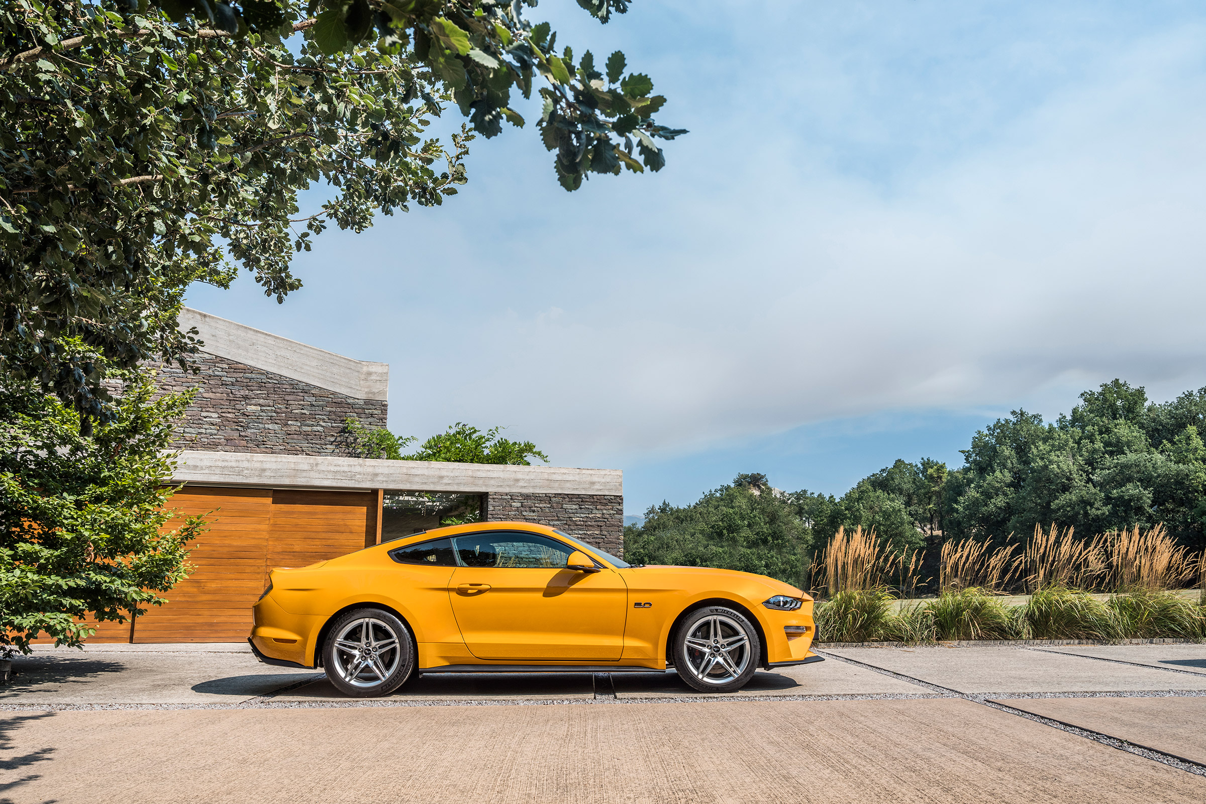 MY18 Mustang - GT profile