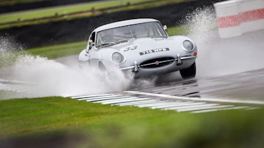 Goodwood revival 2017 - Jag E-Type