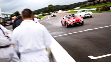 Goodwood revival 2017 - Ferrari 250 GTO
