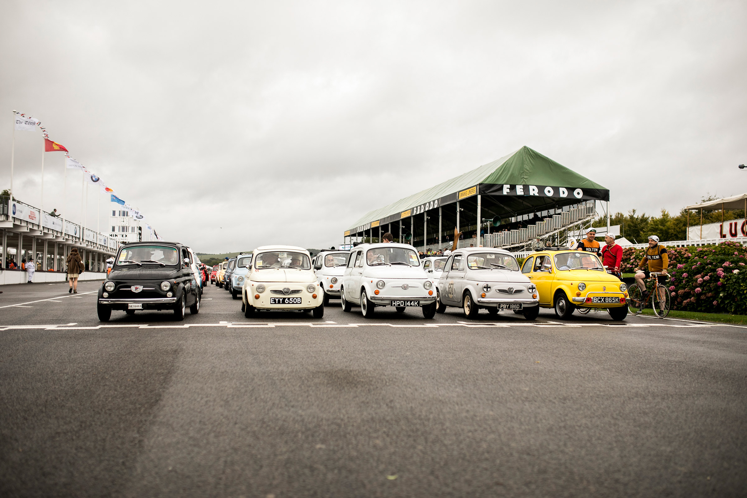 Goodwood revival 2017 - grid
