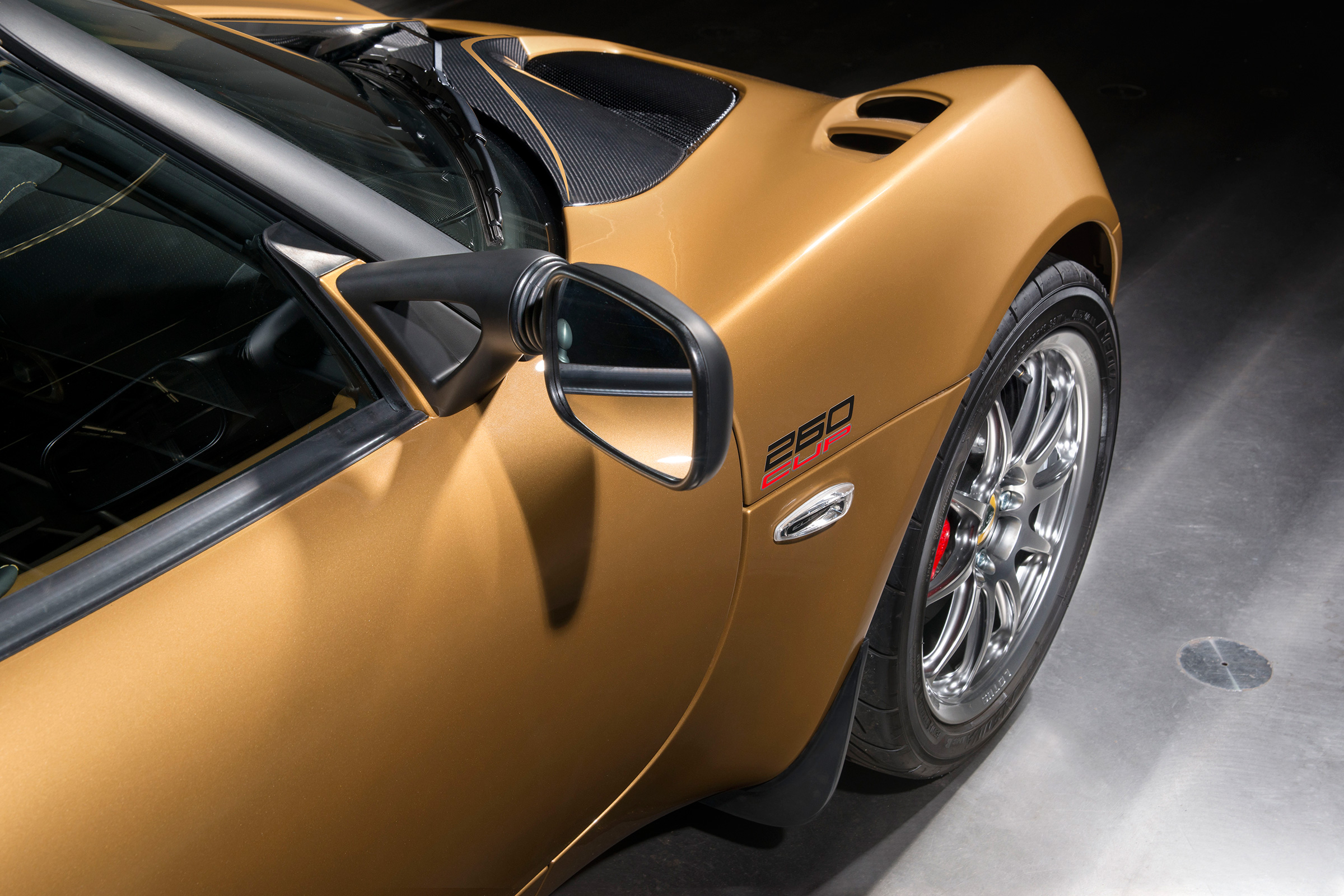 Lotus Elise 260 Cup - fender