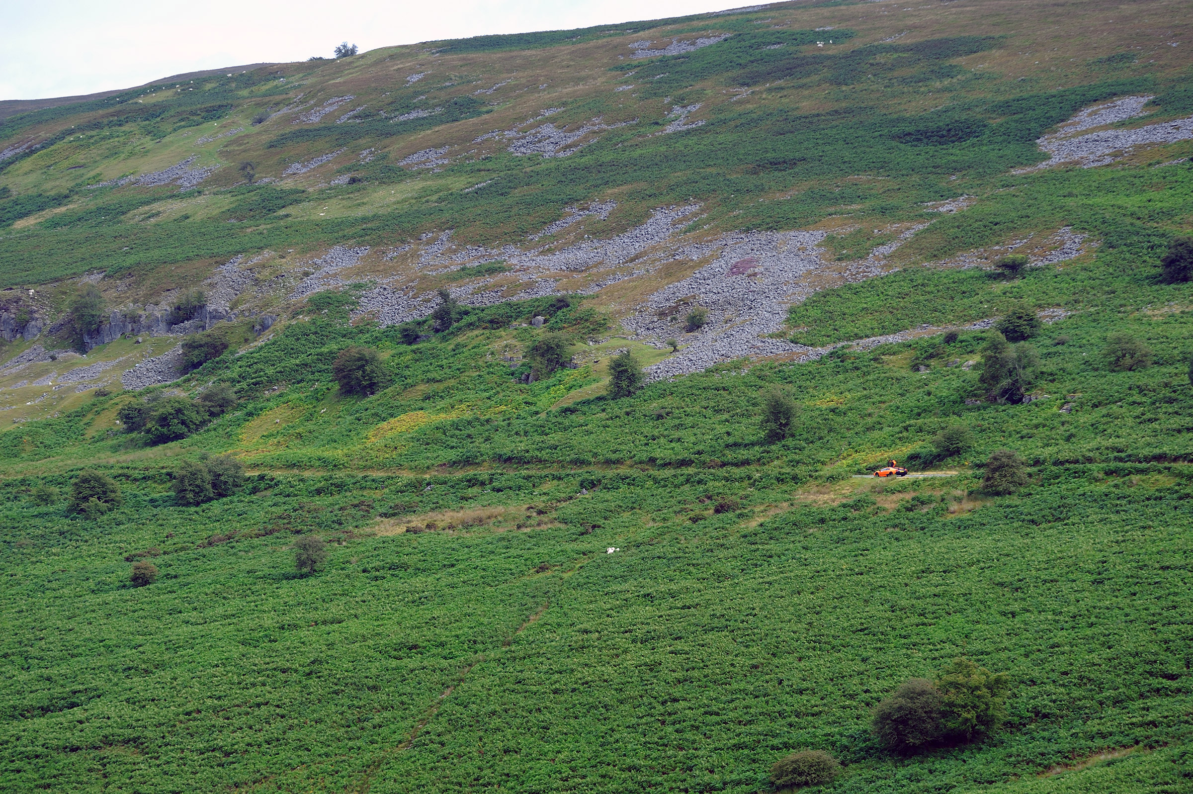 Lamborghini V12 group test Wales - landscape