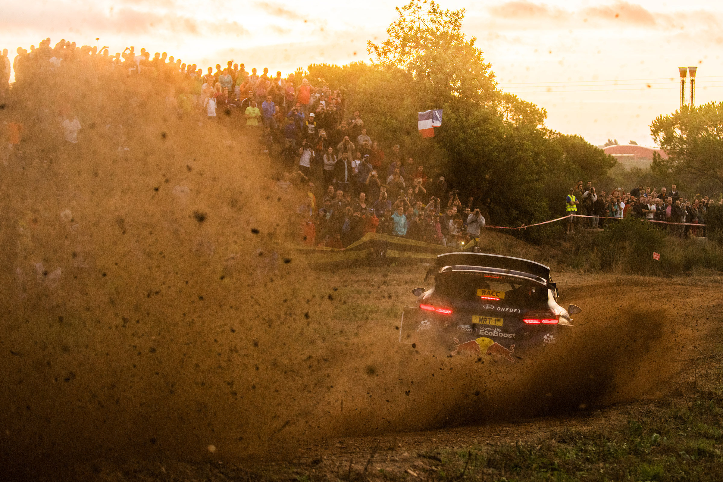 WRC Rally Catalunya - Ford rear