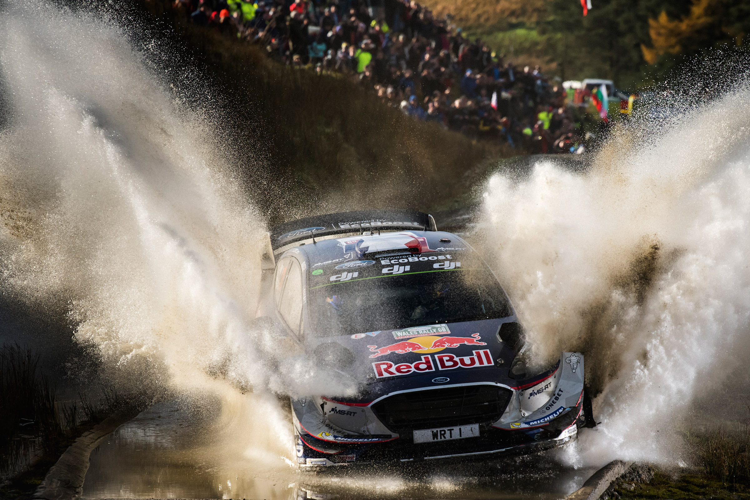 WRC Rally Wales - Ford
