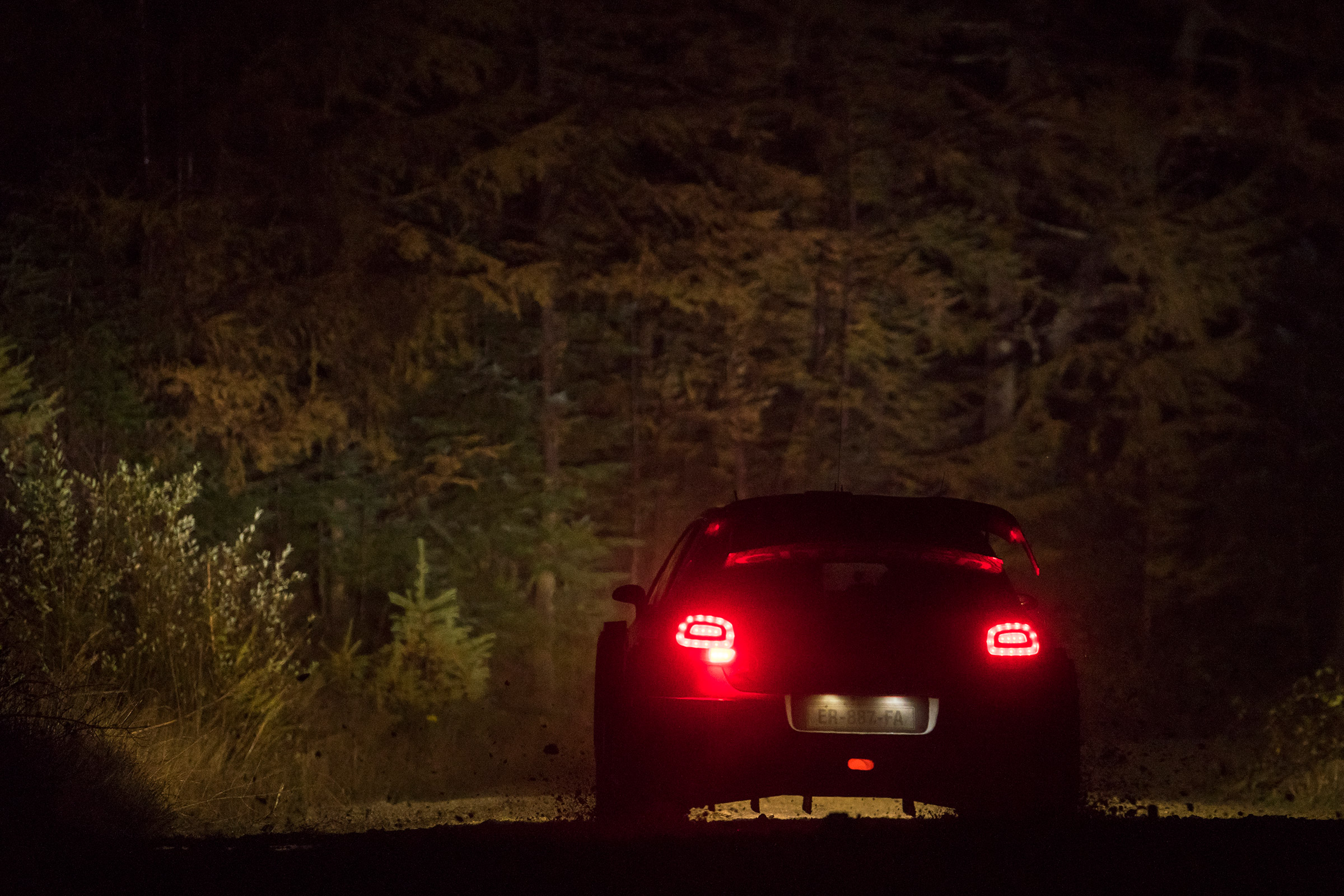WRC Rally Wales - C3 rear