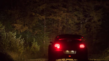 WRC Rally Wales - C3 rear