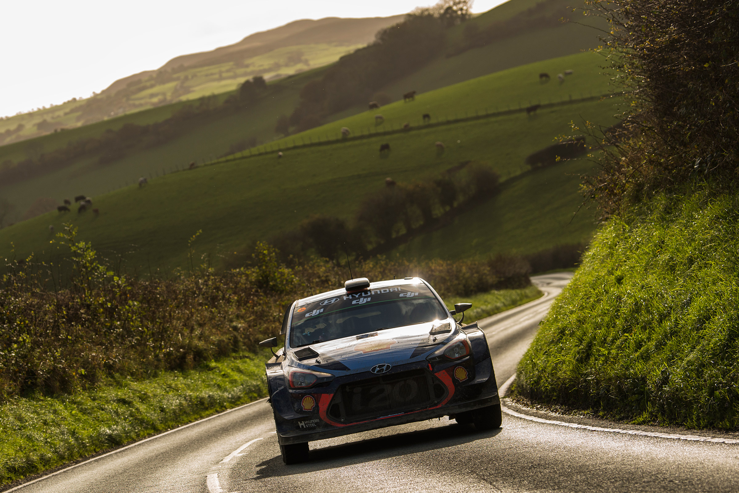 WRC Rally Wales - i20