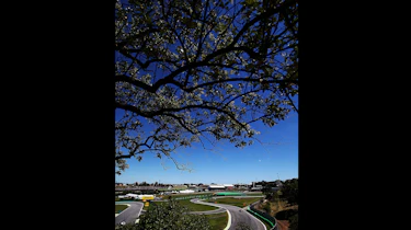 F1 Brazil - f.i
