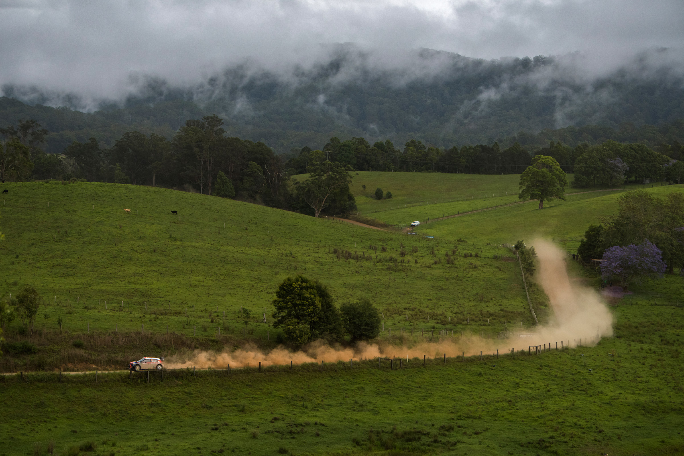 WRC Rally Australia - C3