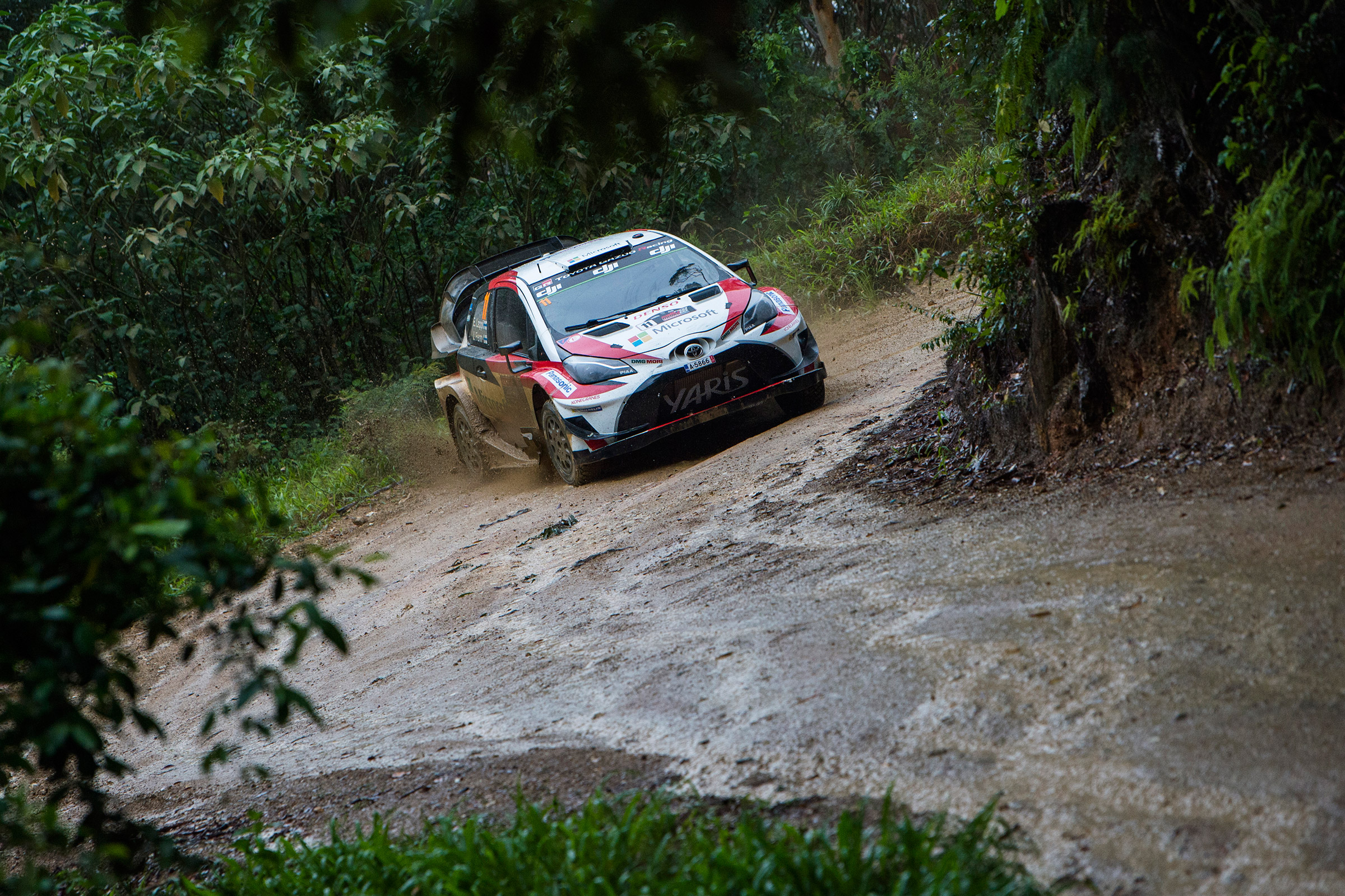 WRC Rally Australia - yaris
