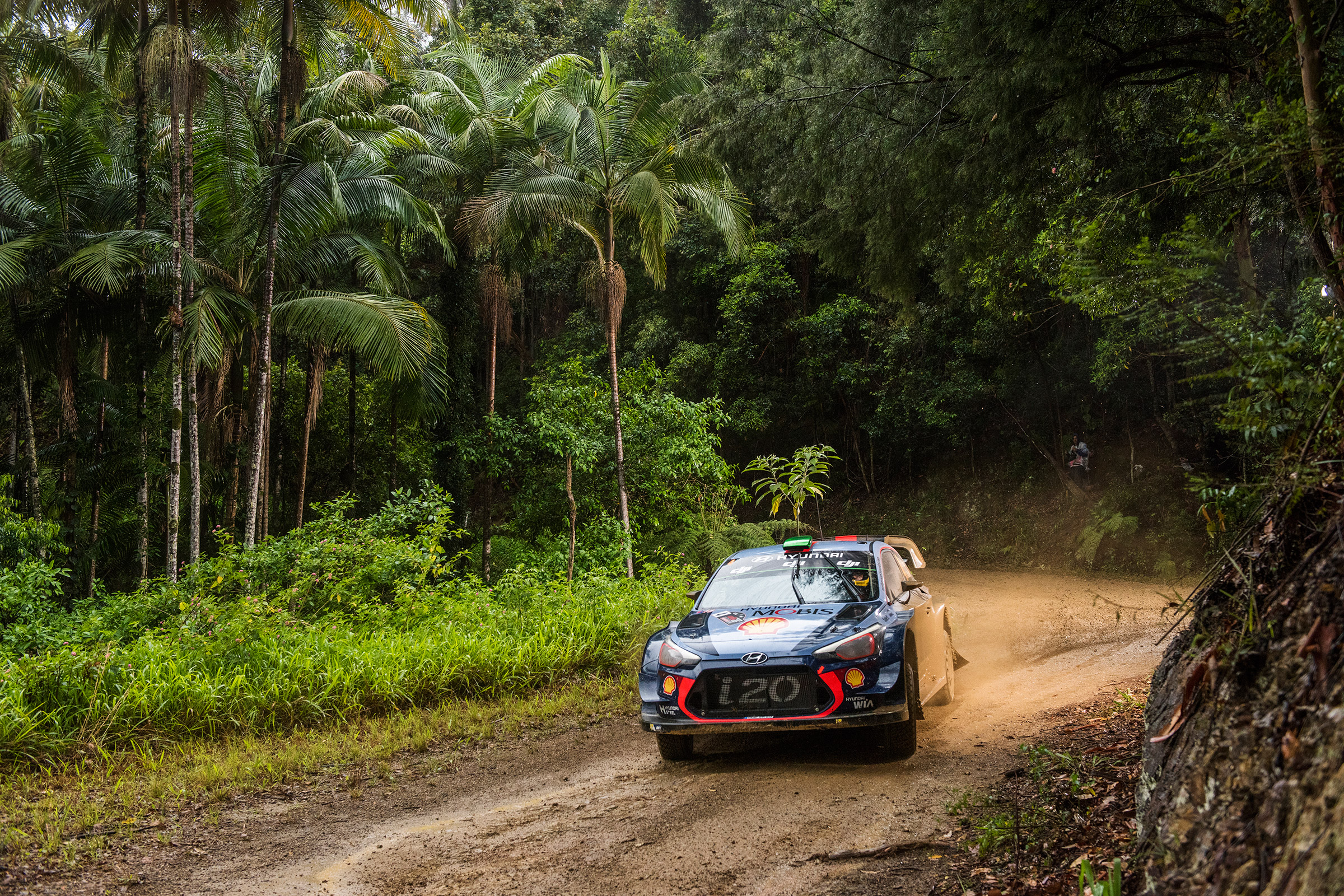 WRC Rally Australia - i20