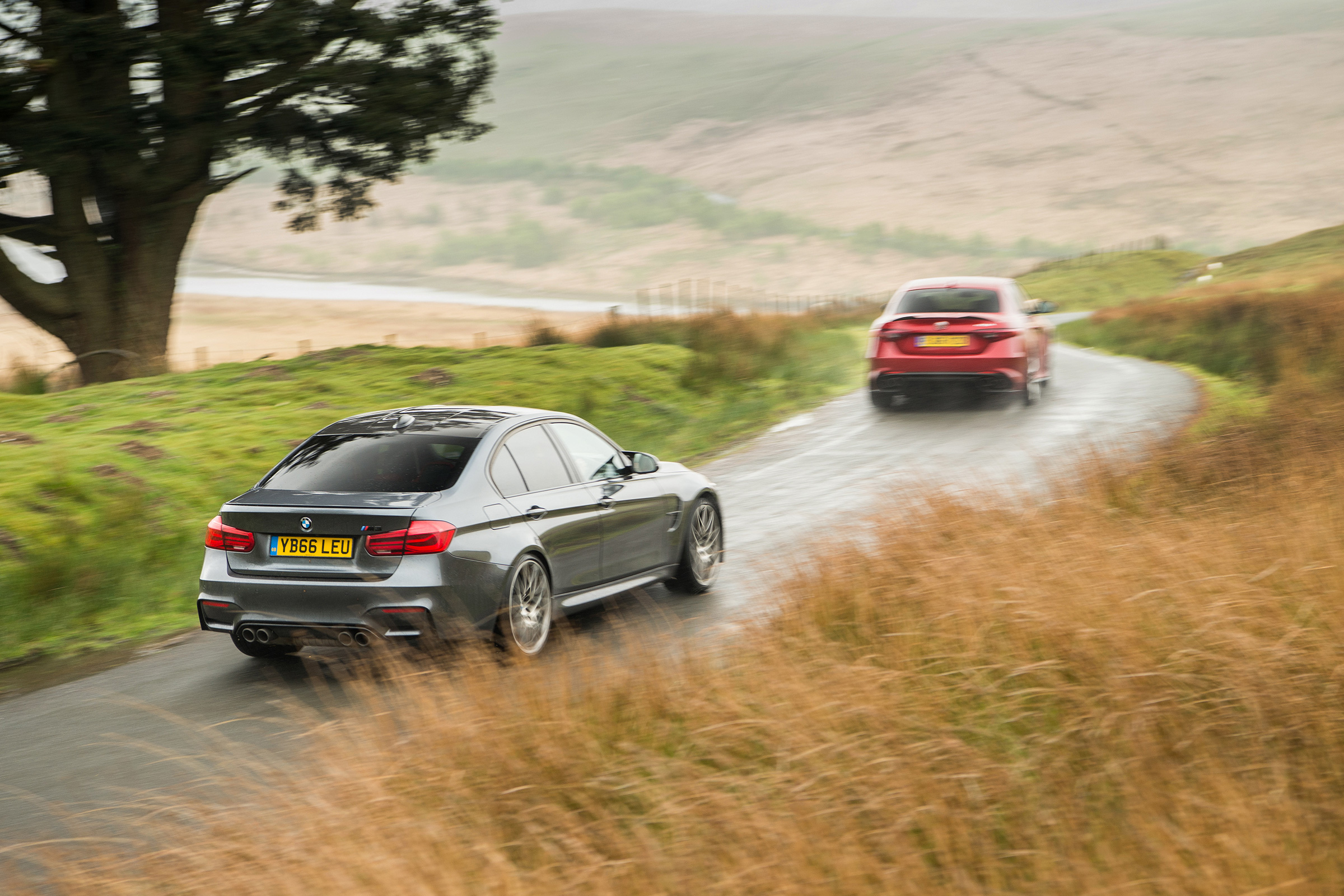 BMW M3 Competition Package &amp; Alfa Romeo Giulia Quadrifoglio – rear on road