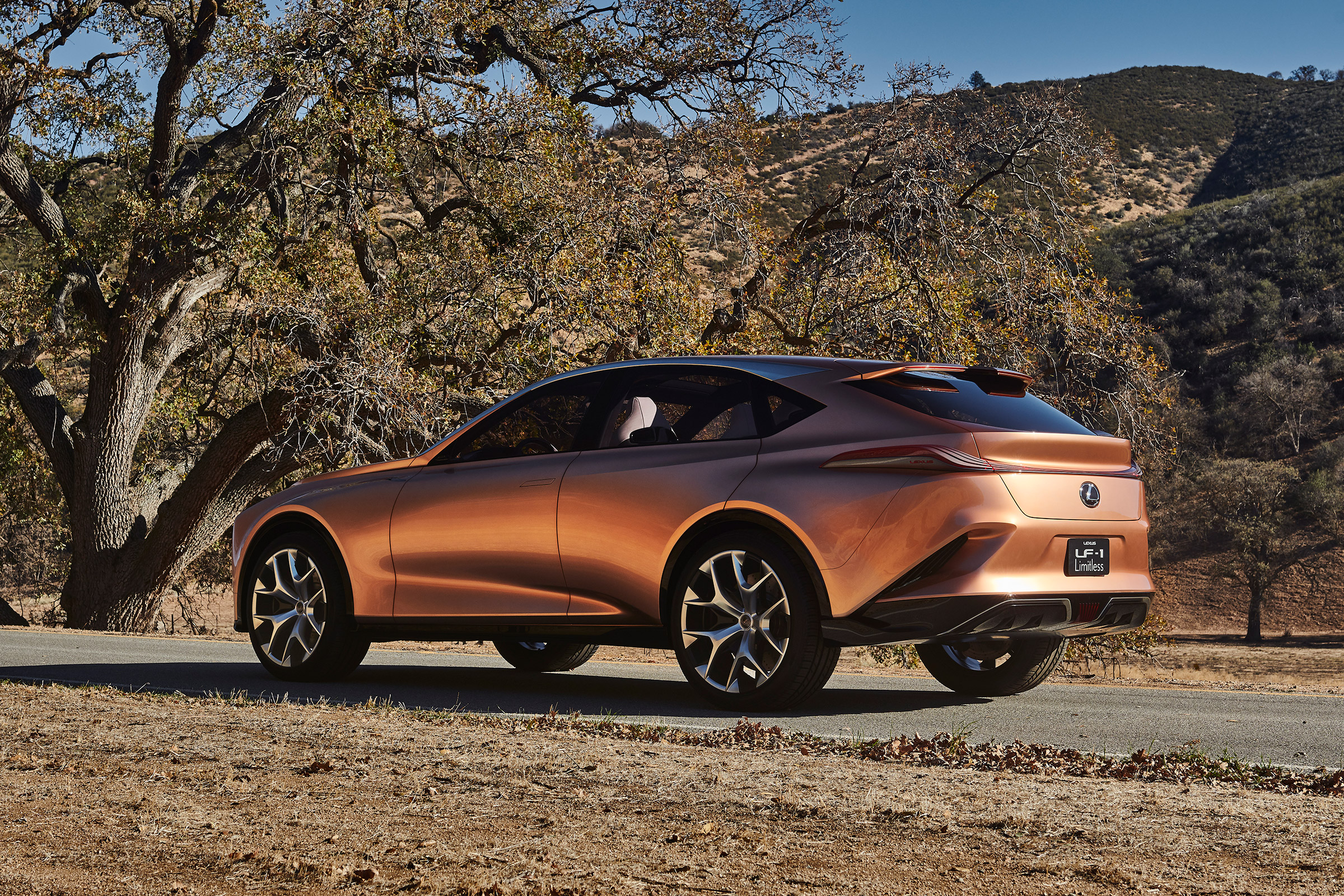 Lexus LF-1 Limitless - rear quarter