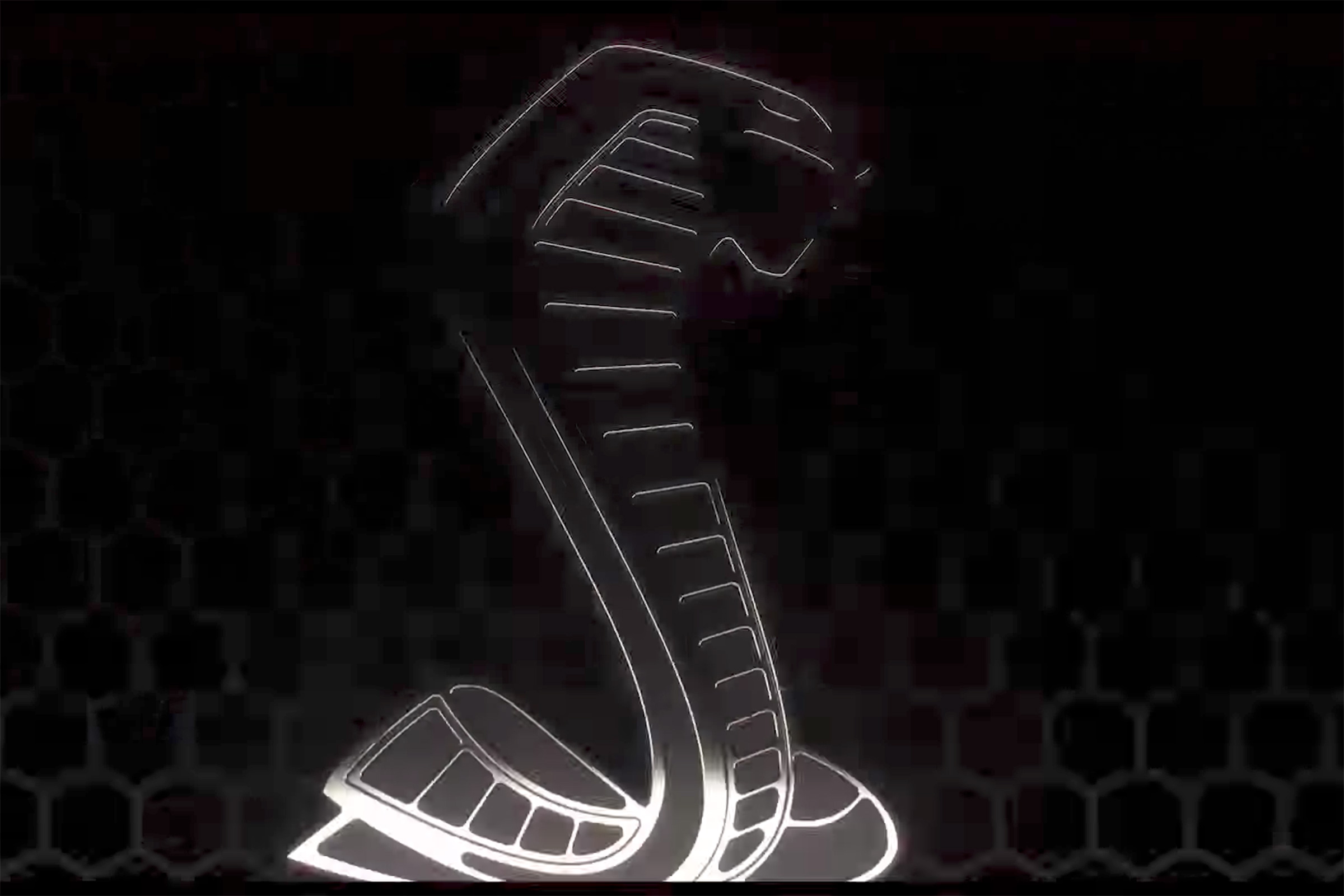 Ford Mustang Shelby GT500 – Cobra symbol