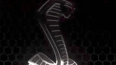 Ford Mustang Shelby GT500 – Cobra symbol
