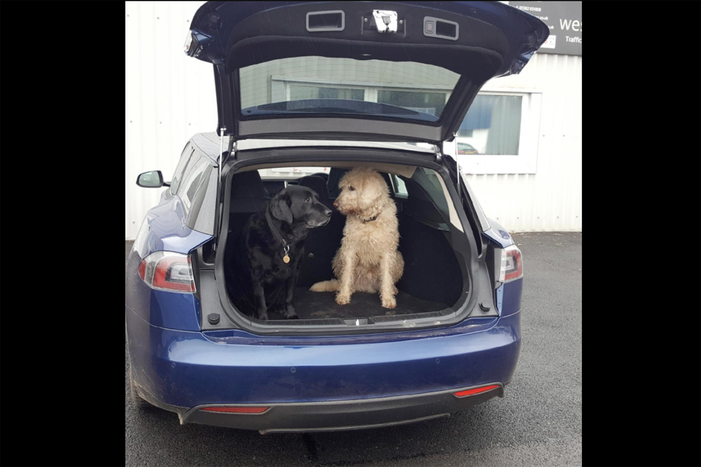 Tesla Model S Shooting Brake – rear