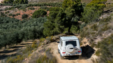 Mercedes-AMG G63 – rear